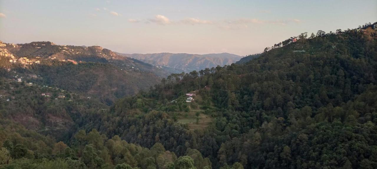 Thakur Homes- Couple And Family Friendly Homestay Shimla Exteriör bild