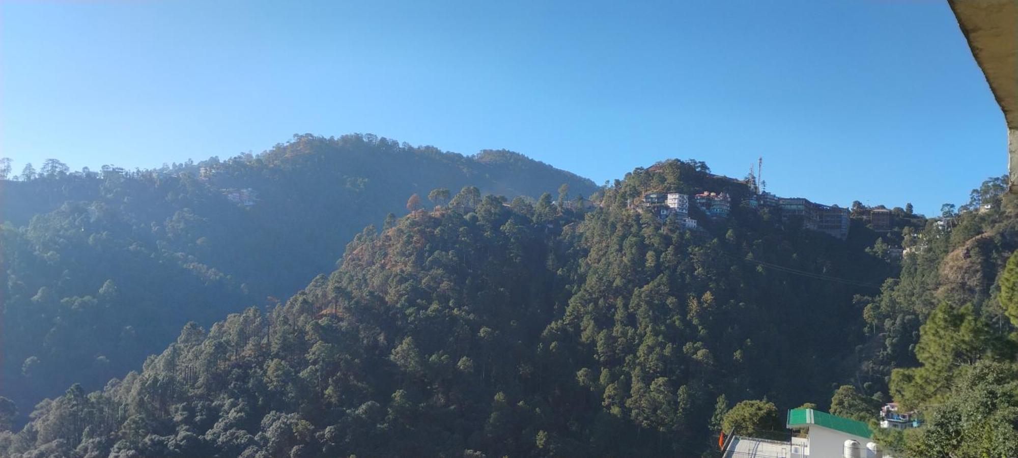 Thakur Homes- Couple And Family Friendly Homestay Shimla Exteriör bild
