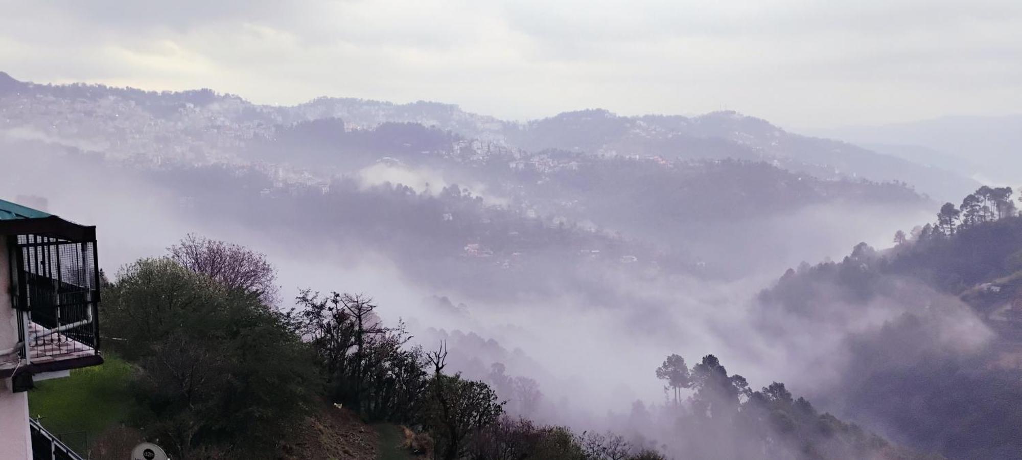 Thakur Homes- Couple And Family Friendly Homestay Shimla Exteriör bild