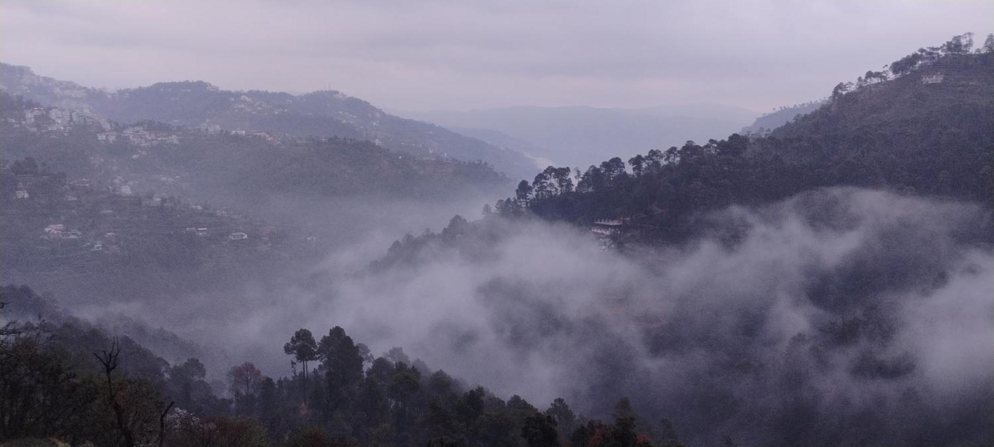 Thakur Homes- Couple And Family Friendly Homestay Shimla Exteriör bild
